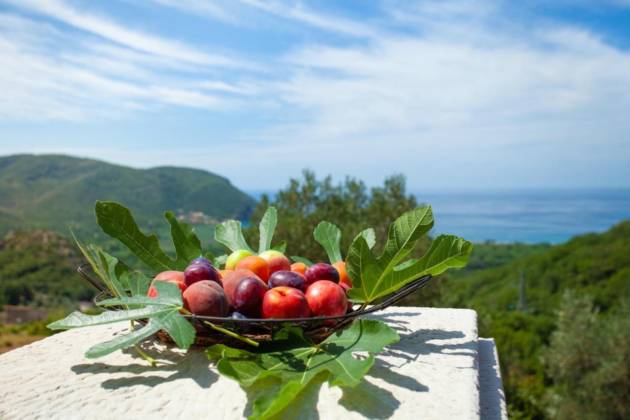 Eco Village Buljarica Budva Bagian luar foto