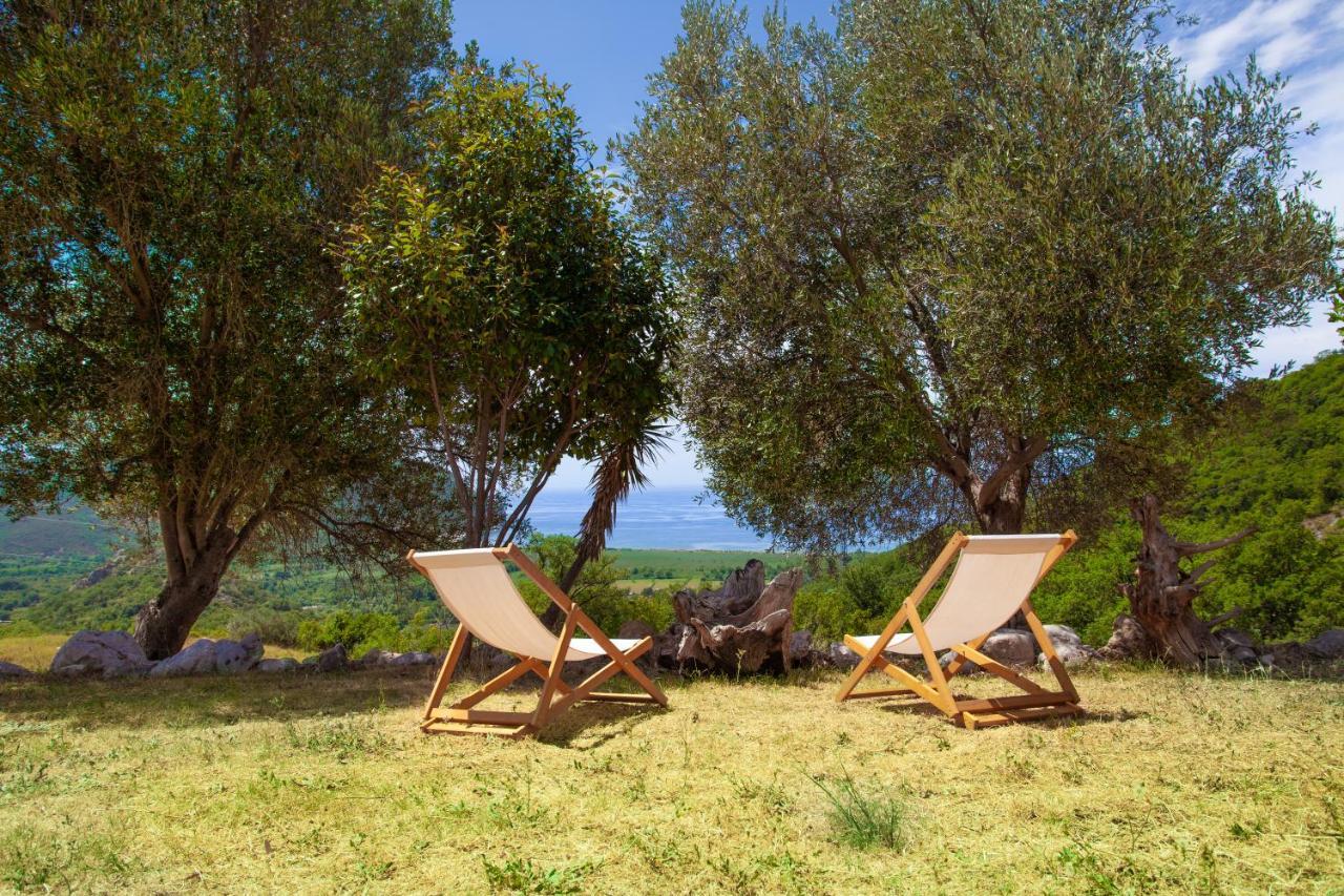 Eco Village Buljarica Budva Bagian luar foto